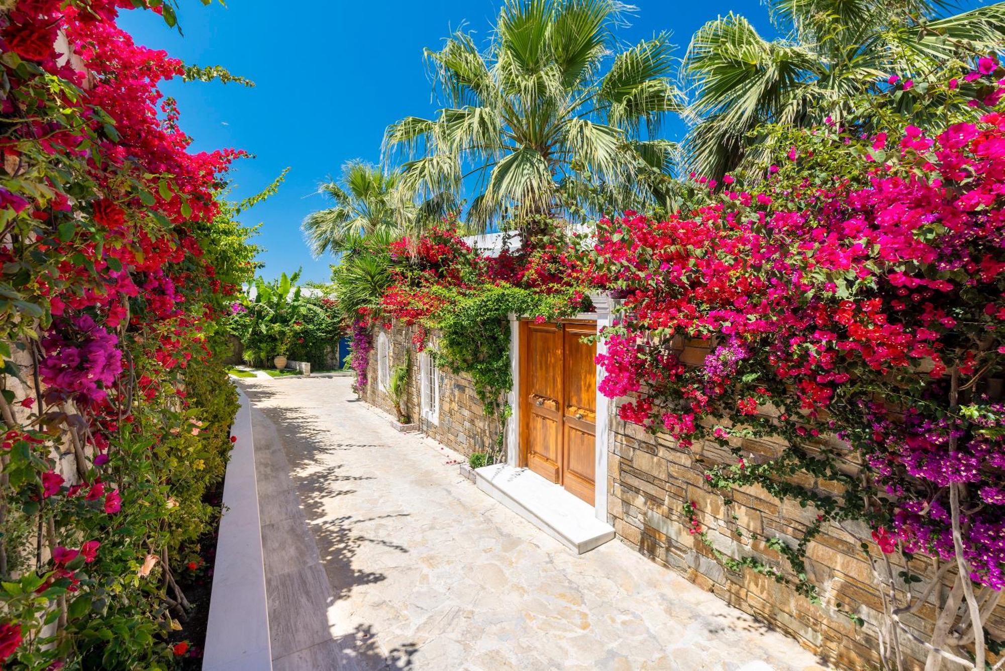 Porto Zante Villas And Spa Tragaki Eksteriør bilde